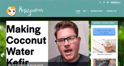 Desktop Screenshot of poseymom.com